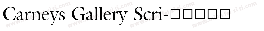 Carneys Gallery Scri字体转换